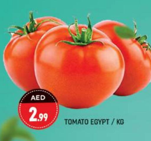  Tomato  in Shaklan  in UAE - Dubai