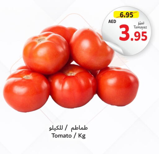  Tomato  in Union Coop in UAE - Dubai