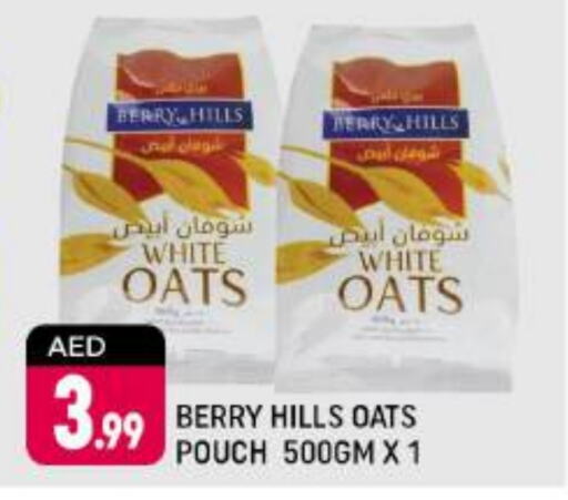  Oats  in Shaklan  in UAE - Dubai