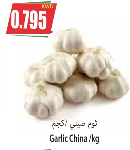 Garlic