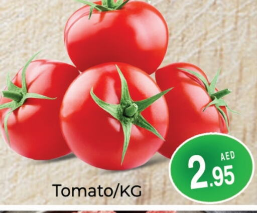  Tomato  in PASONS GROUP in UAE - Dubai