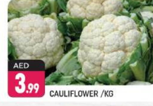  Cauliflower  in Shaklan  in UAE - Dubai