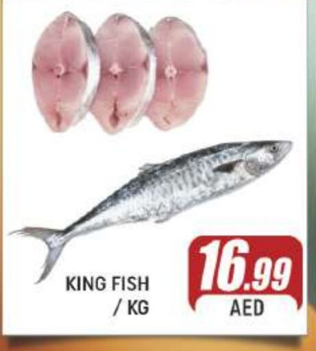  King Fish  in AL MADINA (Dubai) in UAE - Dubai