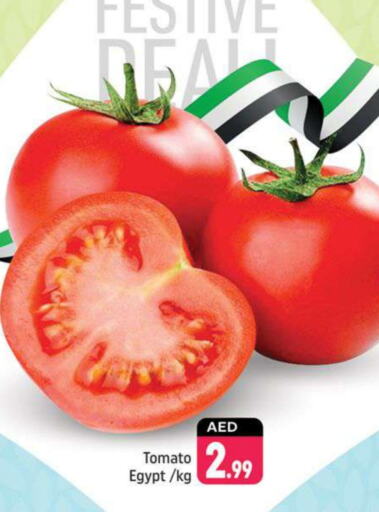  Tomato  in Shaklan  in UAE - Dubai