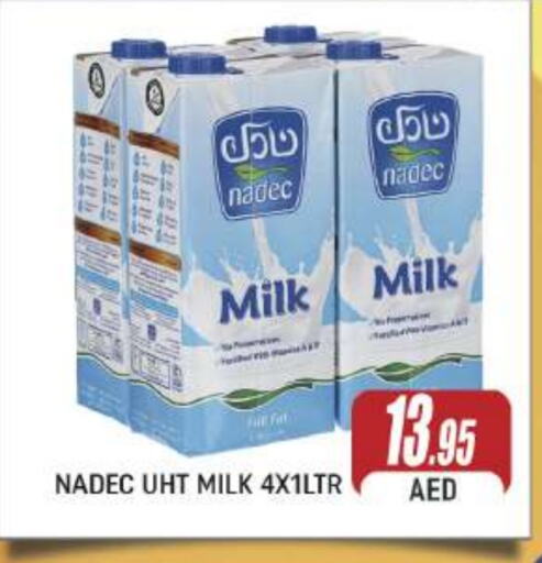 NADEC Long Life / UHT Milk  in AL MADINA (Dubai) in UAE - Dubai