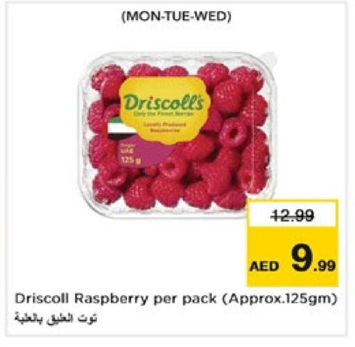  Berries  in Nesto Hypermarket in UAE - Fujairah