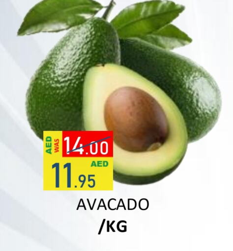 Avacado