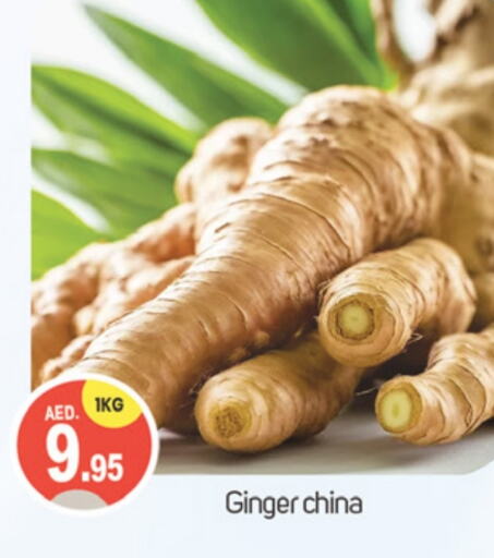  Ginger  in TALAL MARKET in UAE - Dubai