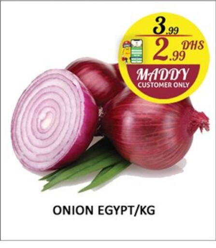  Onion  in Al Madina  in UAE - Sharjah / Ajman