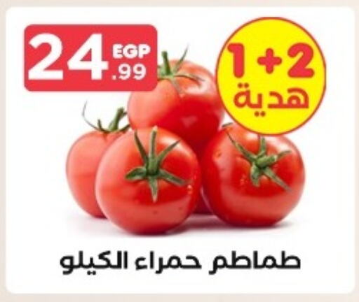  Tomato  in MartVille in Egypt - Cairo