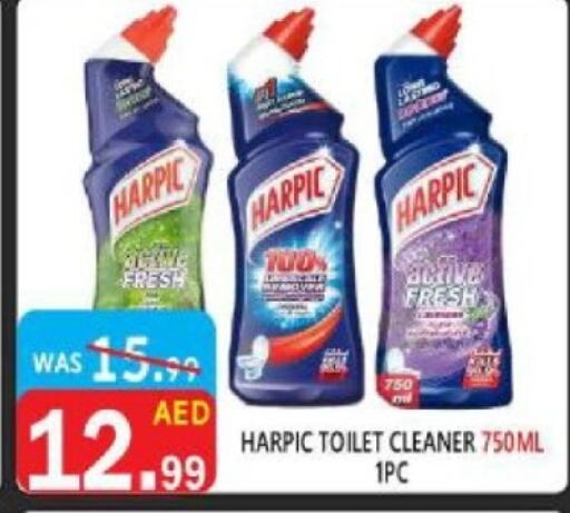 HARPIC Toilet / Drain Cleaner  in United Hypermarket in UAE - Dubai