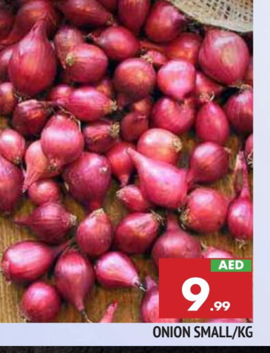  Onion  in AL MADINA in UAE - Sharjah / Ajman