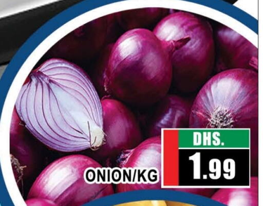  Onion  in AL MADINA (Dubai) in UAE - Dubai