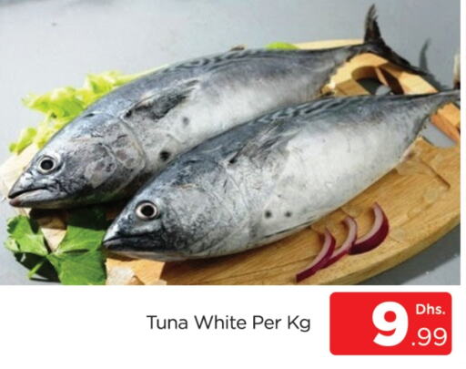  Tuna  in AL MADINA (Dubai) in UAE - Dubai