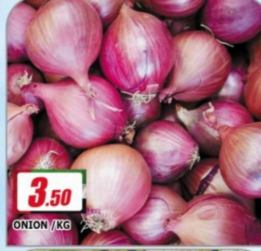  Onion  in AL MADINA in UAE - Sharjah / Ajman