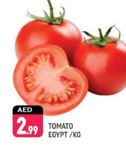  Tomato  in Shaklan  in UAE - Dubai