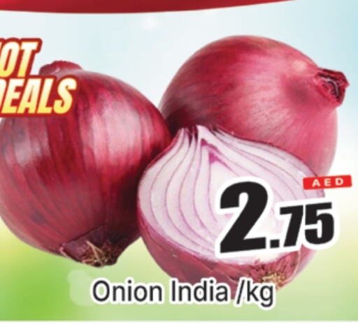  Onion  in AL MADINA (Dubai) in UAE - Dubai