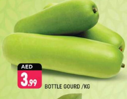  Gourd  in Shaklan  in UAE - Dubai