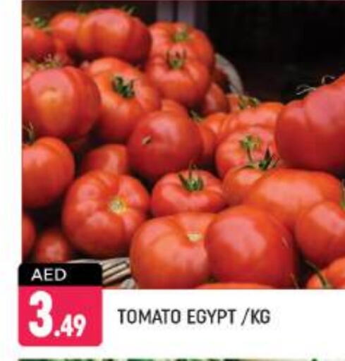  Tomato  in Shaklan  in UAE - Dubai