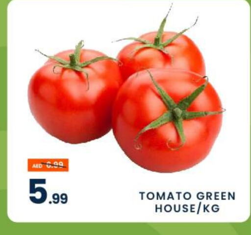  Tomato  in MADHOOR SUPERMARKET L.L.C in UAE - Dubai