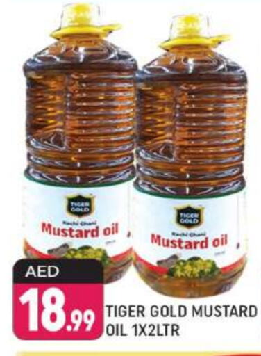  Mustard Oil  in Shaklan  in UAE - Dubai