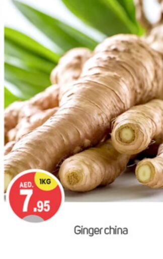  Ginger  in TALAL MARKET in UAE - Dubai