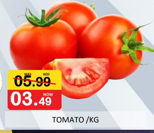  Tomato  in ROYAL GULF HYPERMARKET LLC in UAE - Abu Dhabi