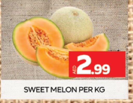  Sweet melon  in AL MADINA (Dubai) in UAE - Dubai