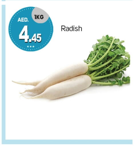 Radish