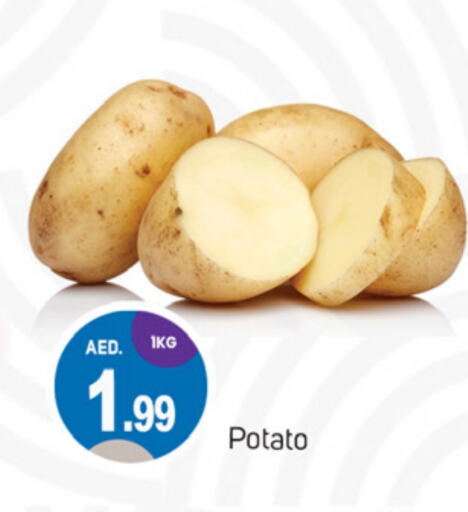  Potato  in TALAL MARKET in UAE - Sharjah / Ajman