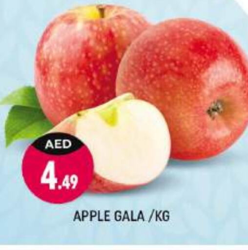  Apples  in Shaklan  in UAE - Dubai