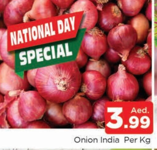  Onion  in AL MADINA (Dubai) in UAE - Dubai