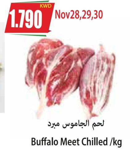  Buffalo  in 4 SaveMart in Kuwait - Kuwait City