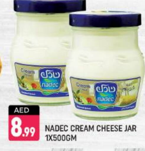 NADEC Cream Cheese  in Shaklan  in UAE - Dubai