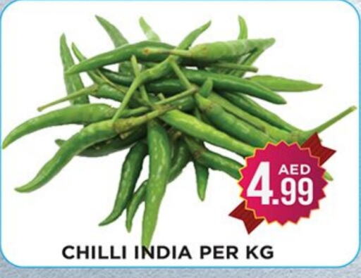  Chilli / Capsicum  in Ain Al Madina Hypermarket in UAE - Sharjah / Ajman