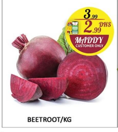  Beetroot  in Al Madina  in UAE - Sharjah / Ajman