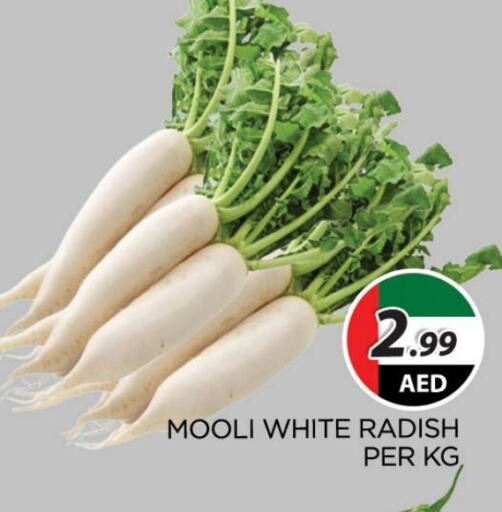  Radish  in AL MADINA (Dubai) in UAE - Dubai