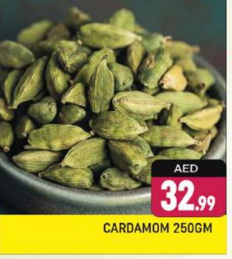  Dried Herbs  in Shaklan  in UAE - Dubai