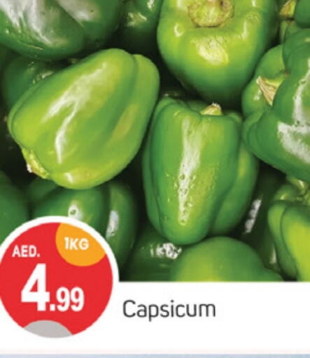  Chilli / Capsicum  in TALAL MARKET in UAE - Sharjah / Ajman