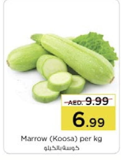  Zucchini  in Nesto Hypermarket in UAE - Fujairah