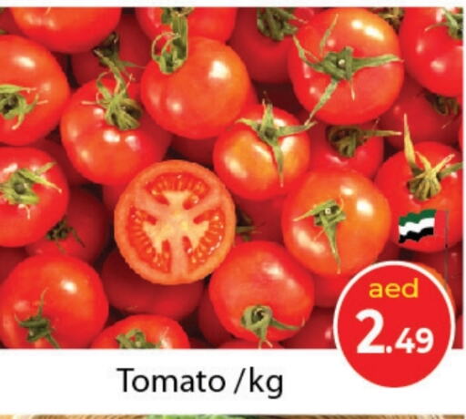  Tomato  in Souk Al Mubarak Hypermarket in UAE - Sharjah / Ajman