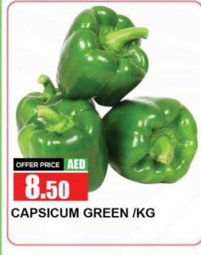  Chilli / Capsicum  in Quick Supermarket in UAE - Dubai