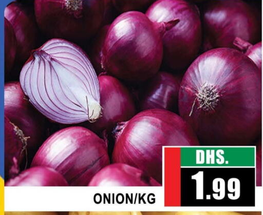  Onion  in AL MADINA (Dubai) in UAE - Dubai