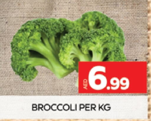  Broccoli  in AL MADINA (Dubai) in UAE - Dubai