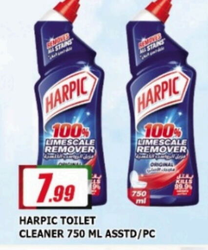 HARPIC Toilet / Drain Cleaner  in AL MADINA in UAE - Sharjah / Ajman