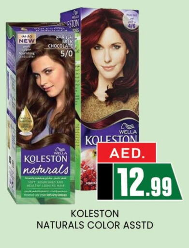 WELLA Hair Colour  in AL MADINA (Dubai) in UAE - Dubai