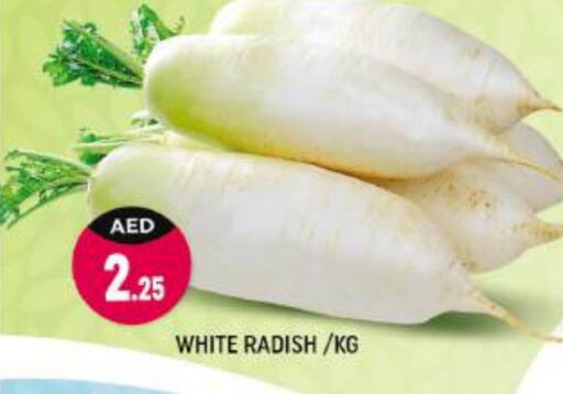 Radish