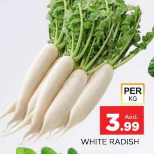  Radish  in AL MADINA (Dubai) in UAE - Dubai