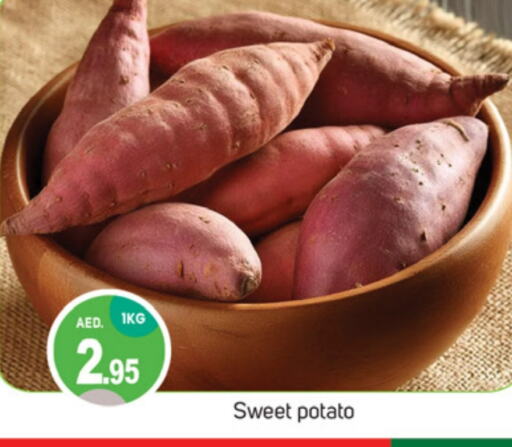  Sweet Potato  in TALAL MARKET in UAE - Dubai