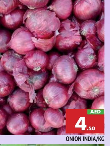  Onion  in AL MADINA in UAE - Sharjah / Ajman